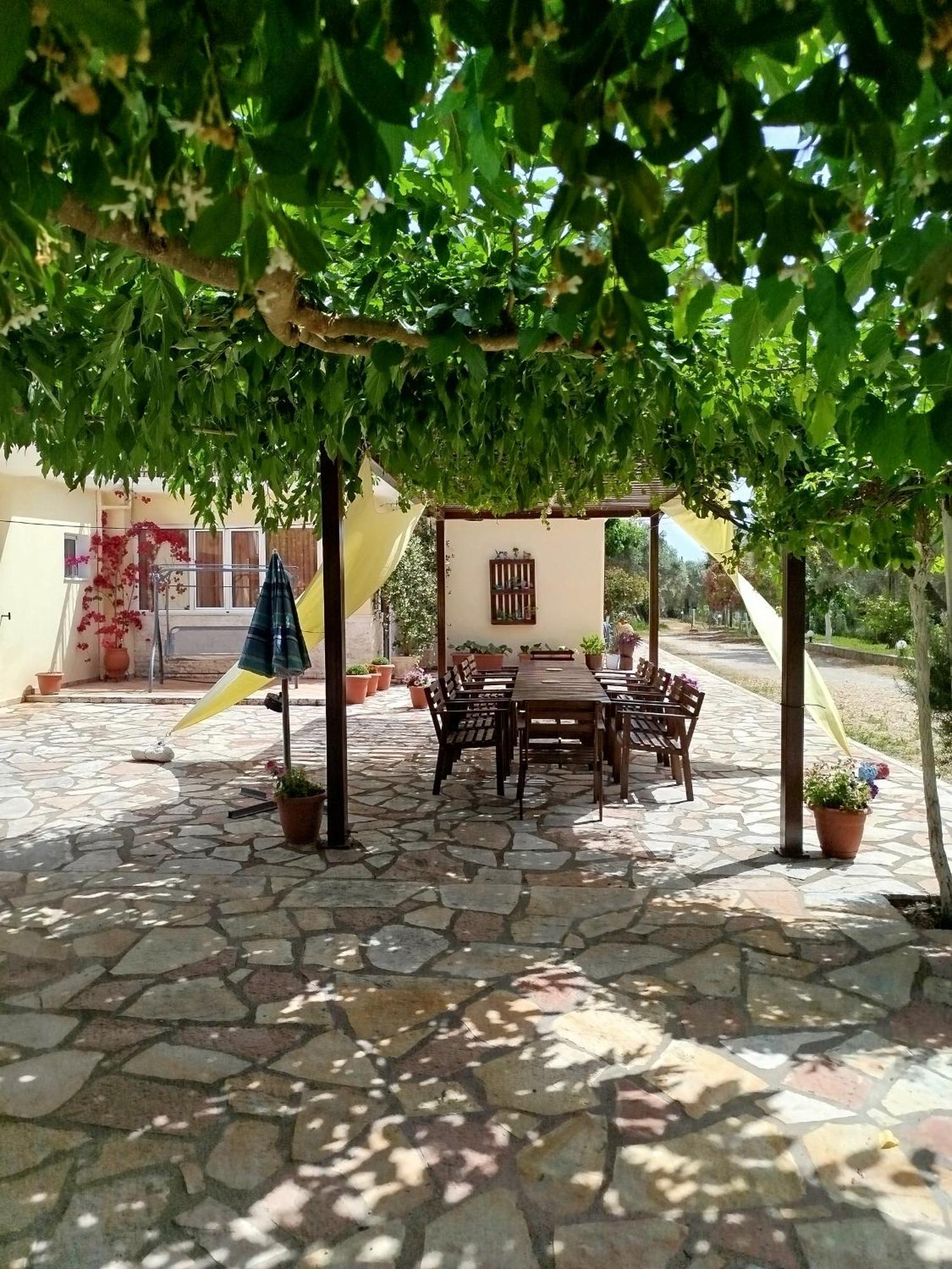 Riverside Αpartments Βασιλική Εξωτερικό φωτογραφία